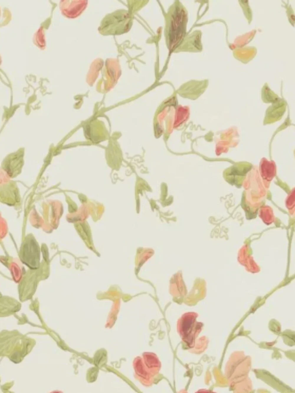 Cole and Son Sweet Pea Wallpaper 100/6028